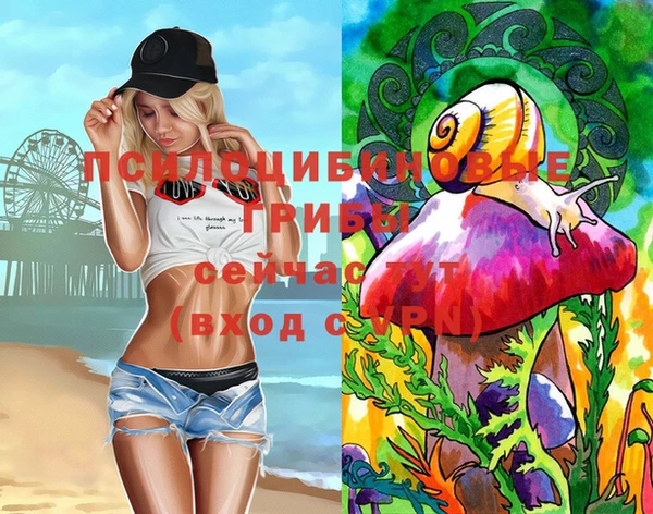 a pvp Верхний Тагил